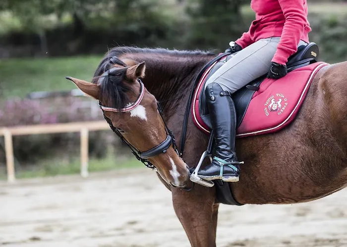 Il Poggio Bed & Breakfast Sinalunga