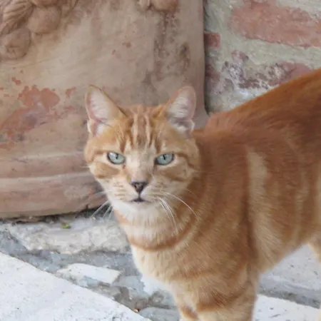 Il Poggio Sinalunga