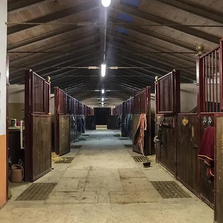 Il Poggio Nocleg ze śniadaniem