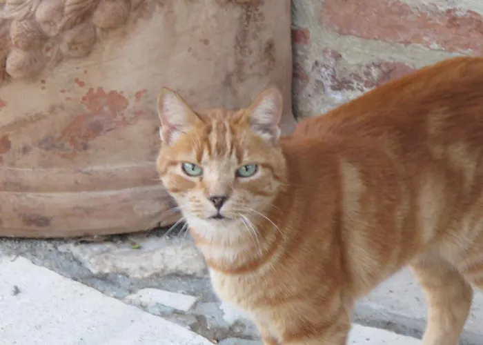 Il Poggio Sinalunga