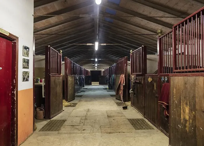 Il Poggio Bed & Breakfast