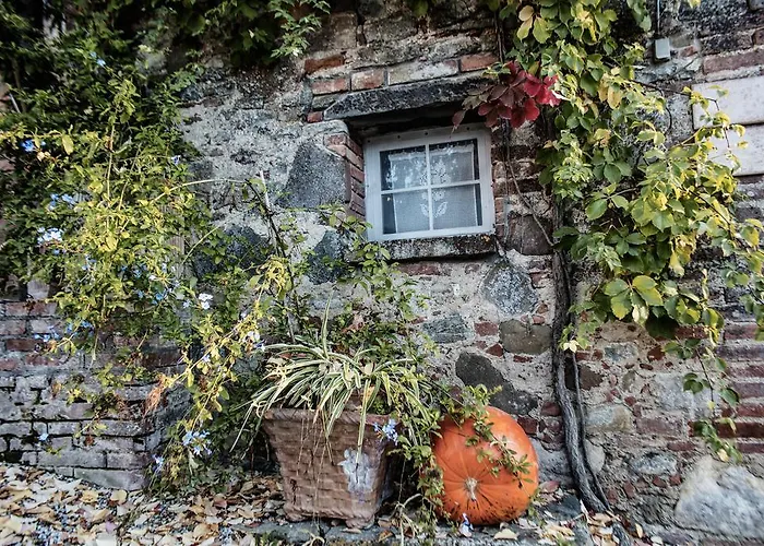 Il Poggio * Sinalunga