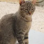 Il Poggio Sinalunga